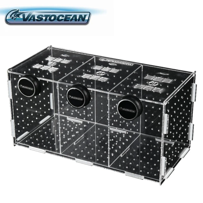 Marine Aquarium Glue - VASTOCEAN Cá Từ Kết Hợp Acrylic