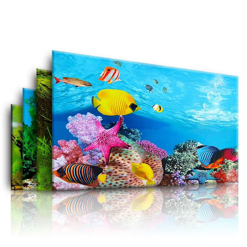 Aquarium Innovative Marine - Nền Cho Bể Cá 3d Dán