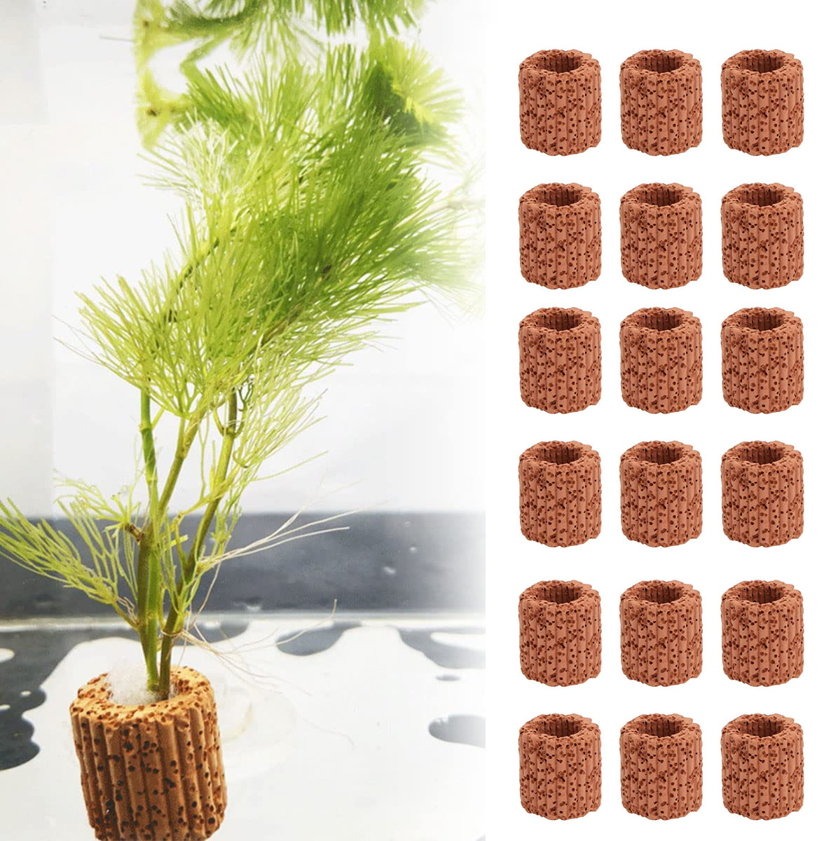 Aquarium Innovative Marine - 20 Cái/lốc Thủy Sinh Nước Nhẫn