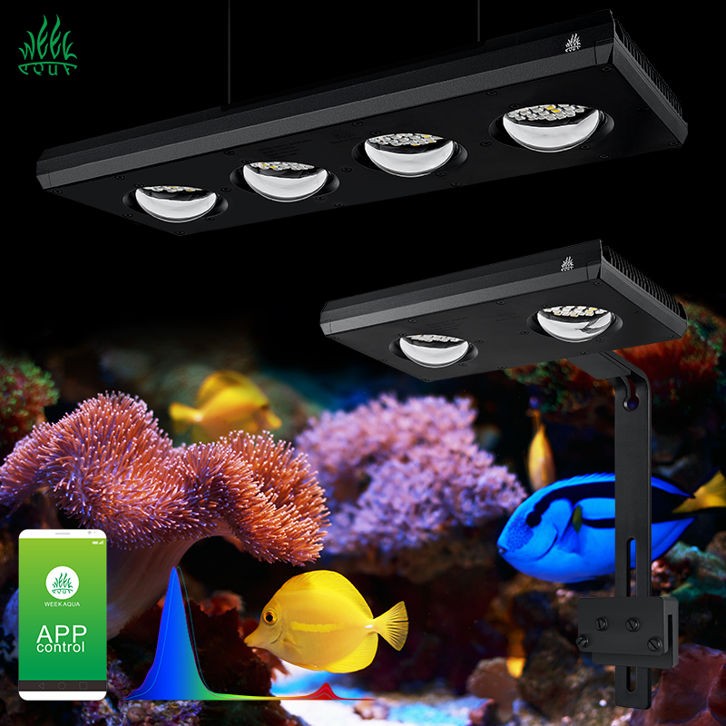 Marine Aquarium For Sale - ZXY Hot Sale WEEKAQUA Z250 Z400sea