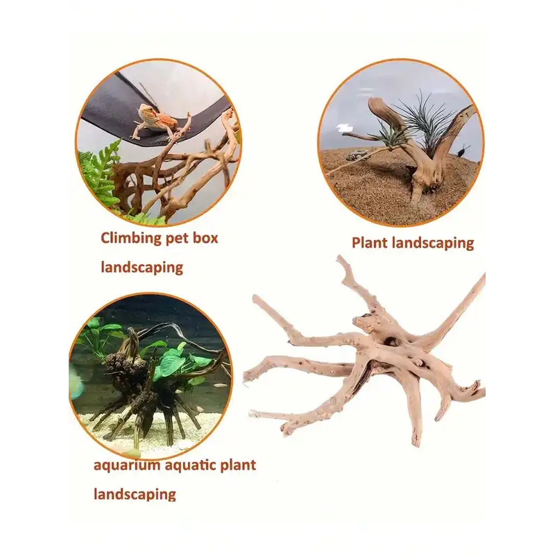 Natural Driftwood for Aquarium - đánh giá và giá Aquarium Innovative Marine