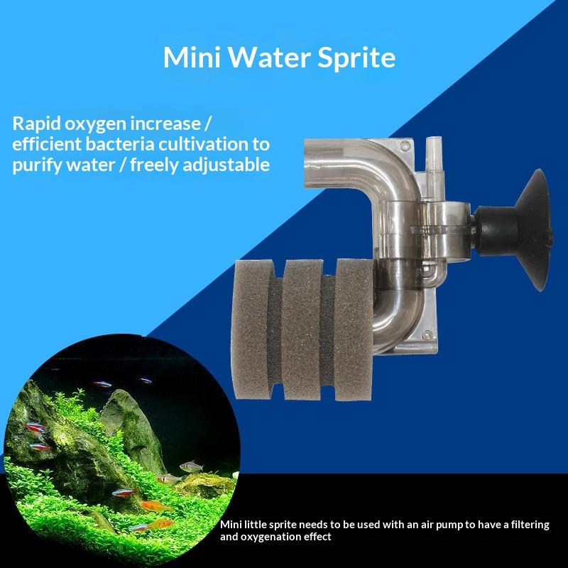 .Hot Sale-Mini Aquarium Sponge - đánh giá và giá Marine Aquarium For Sale