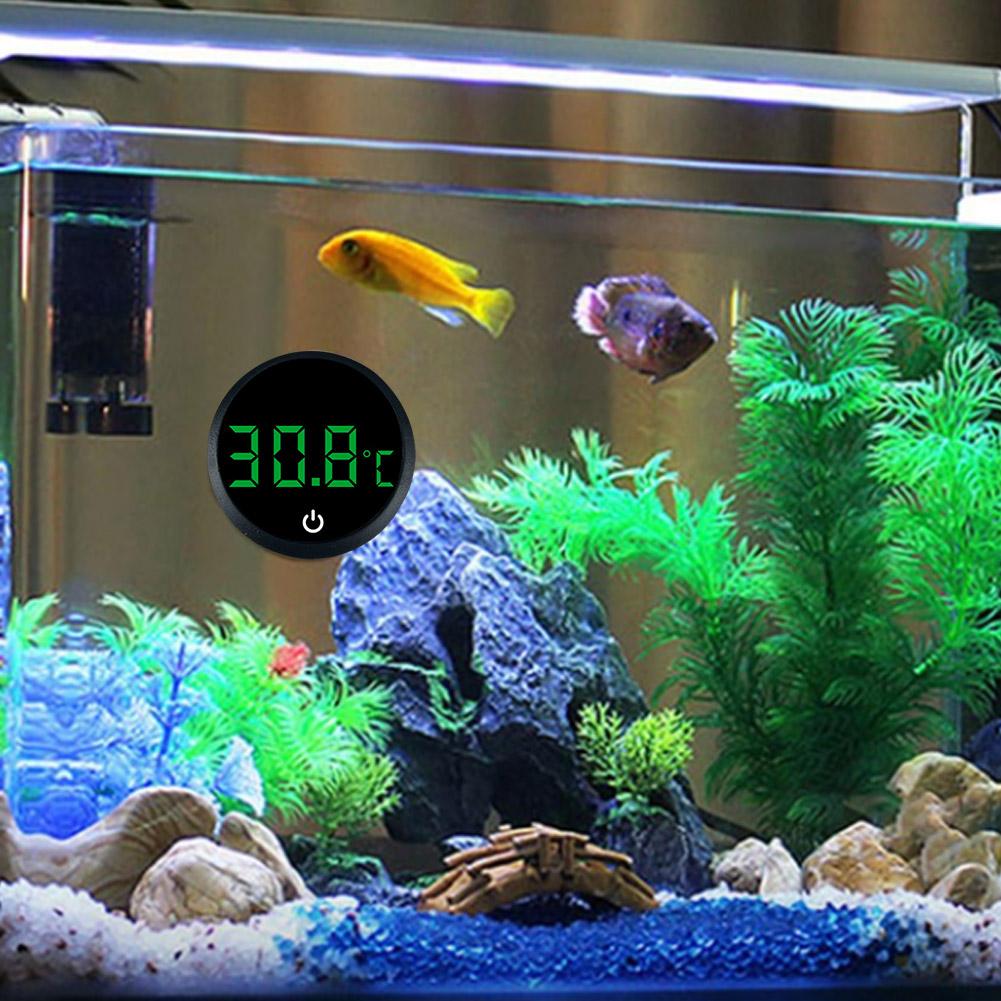 Aquarium Self-Adhesive Thermom - đánh giá và giá Marine Aquarium Glue
