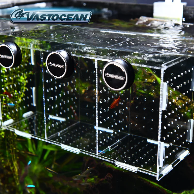 VASTOCEAN Cá Từ Kết Hợp Acryli - đánh giá và giá Marine Aquarium Glue