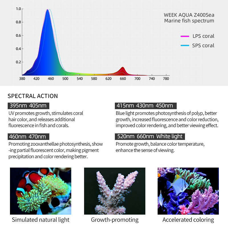 ZXY Hot Sale WEEKAQUA Z250 Z40 - đánh giá và giá Marine Aquarium For Sale