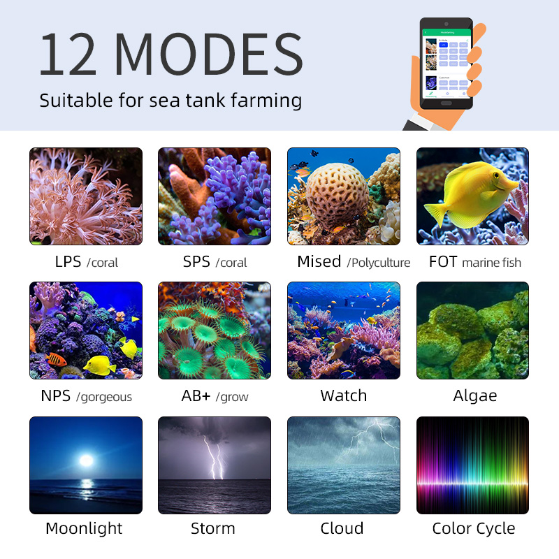 ZXY Hot Sale WEEKAQUA Z250 Z40 - đánh giá và giá Marine Aquarium For Sale