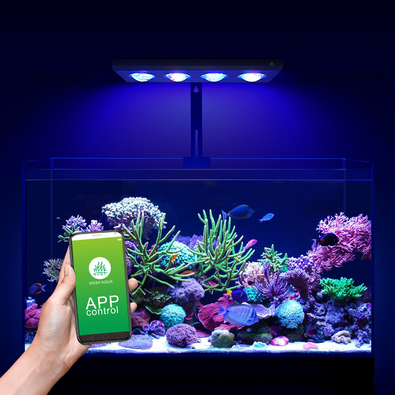 ZXY Hot Sale WEEKAQUA Z250 Z40 - đánh giá và giá Marine Aquarium For Sale