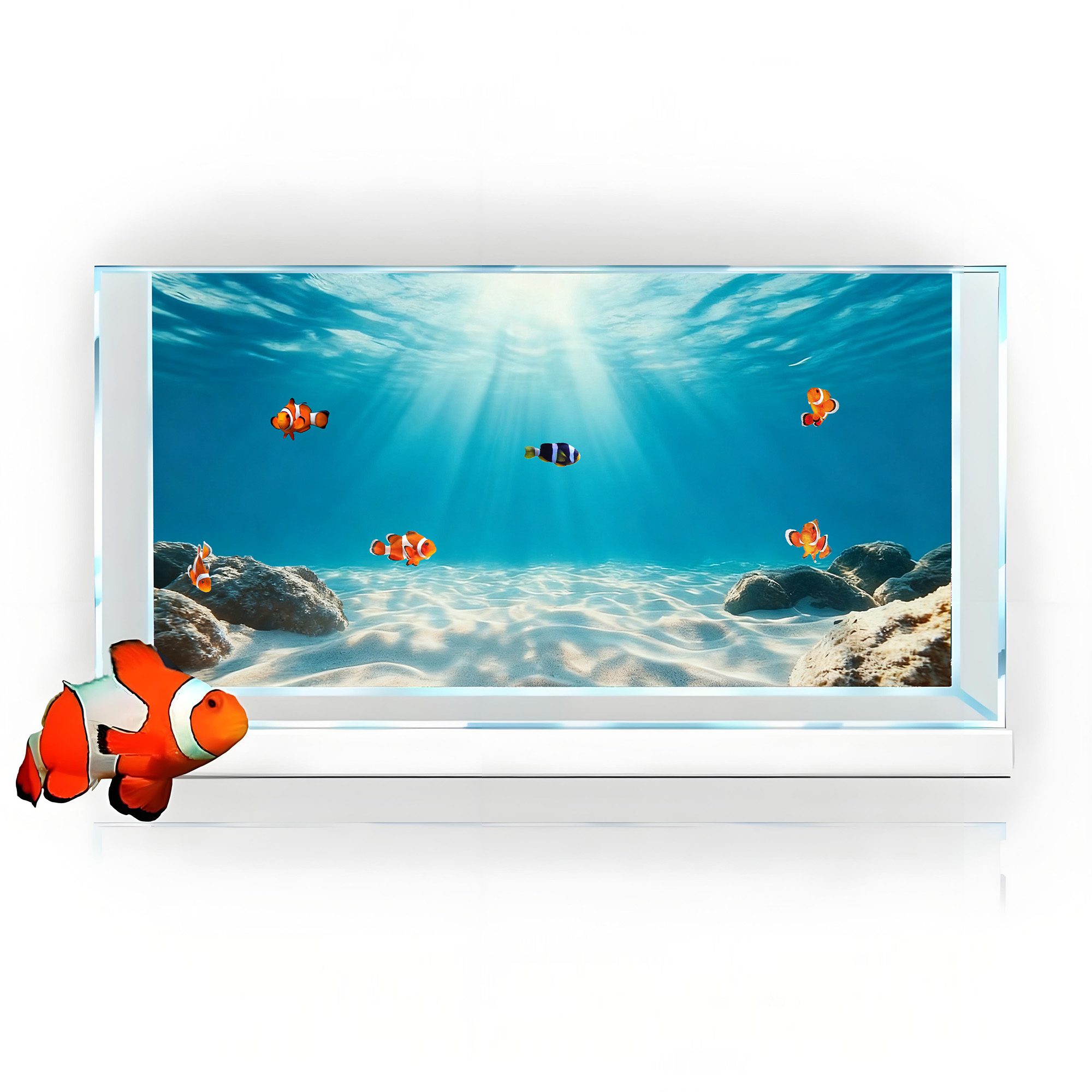 Blue Sea Clear Sand, Fish Tank - đánh giá và giá Marine Aquarium Glue