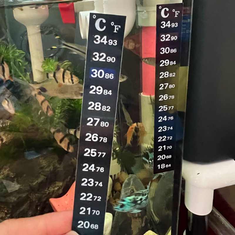 1/5 PCS High-Precision Thermom - đánh giá và giá Marine Aquarium Glue