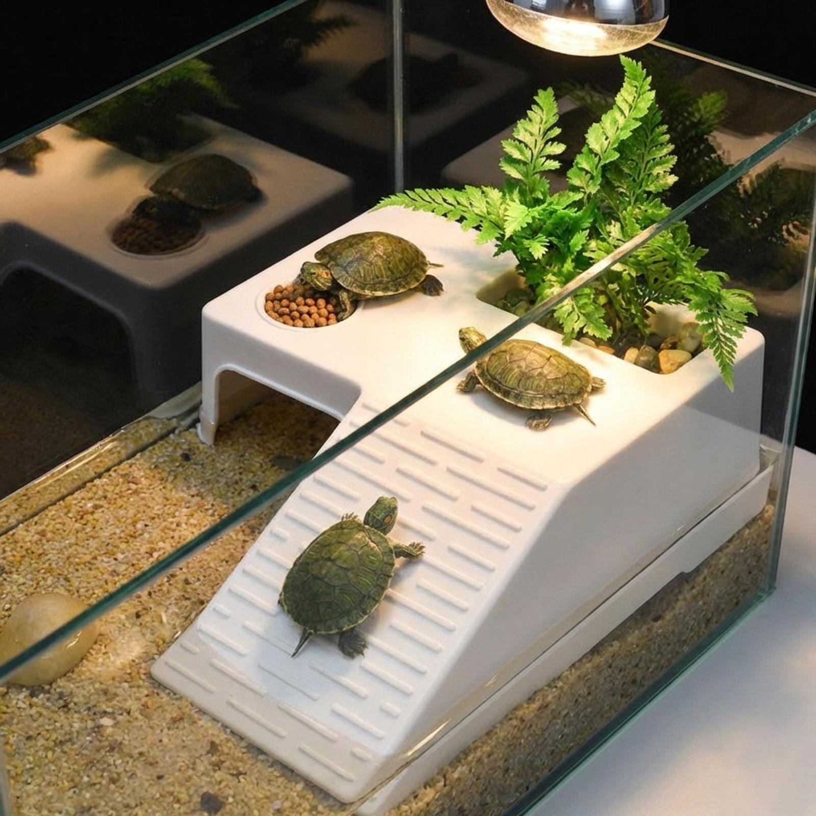 Turtle Resting Basking Platfor - đánh giá và giá Aquarium Innovative Marine
