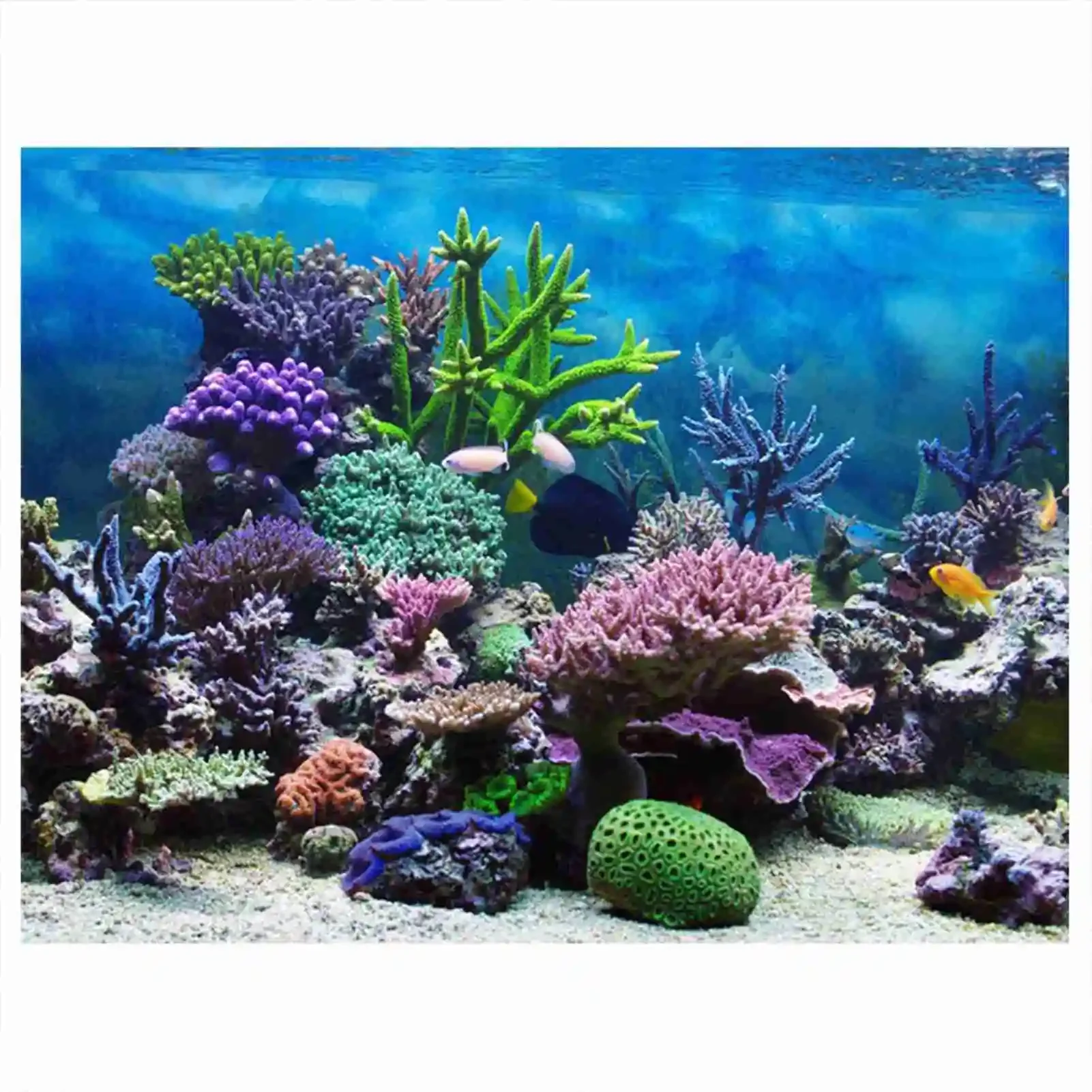 3D Aquarium Landscape Poster R - đánh giá và giá Marine Aquarium Glue