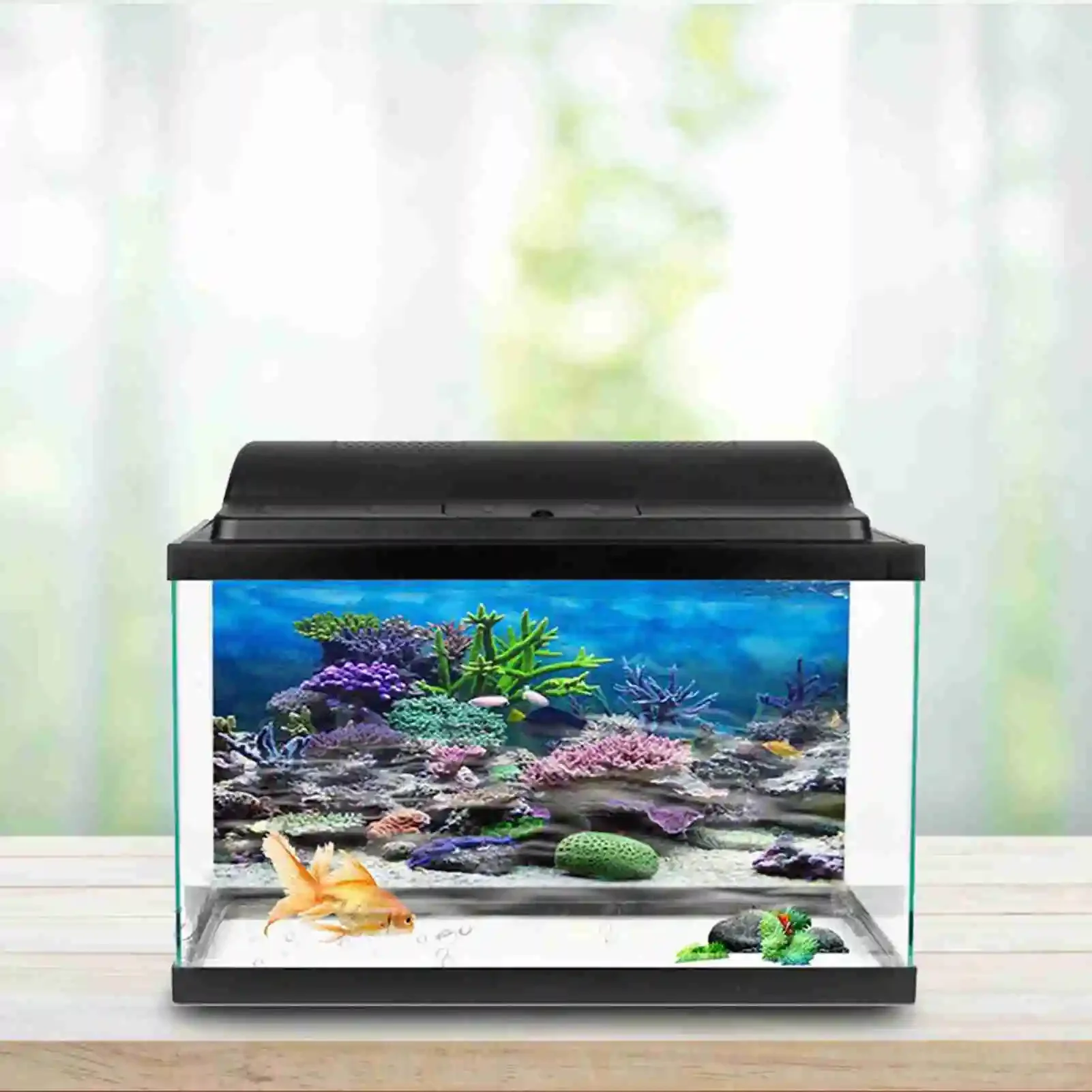 3D Aquarium Landscape Poster R - đánh giá và giá Marine Aquarium Glue