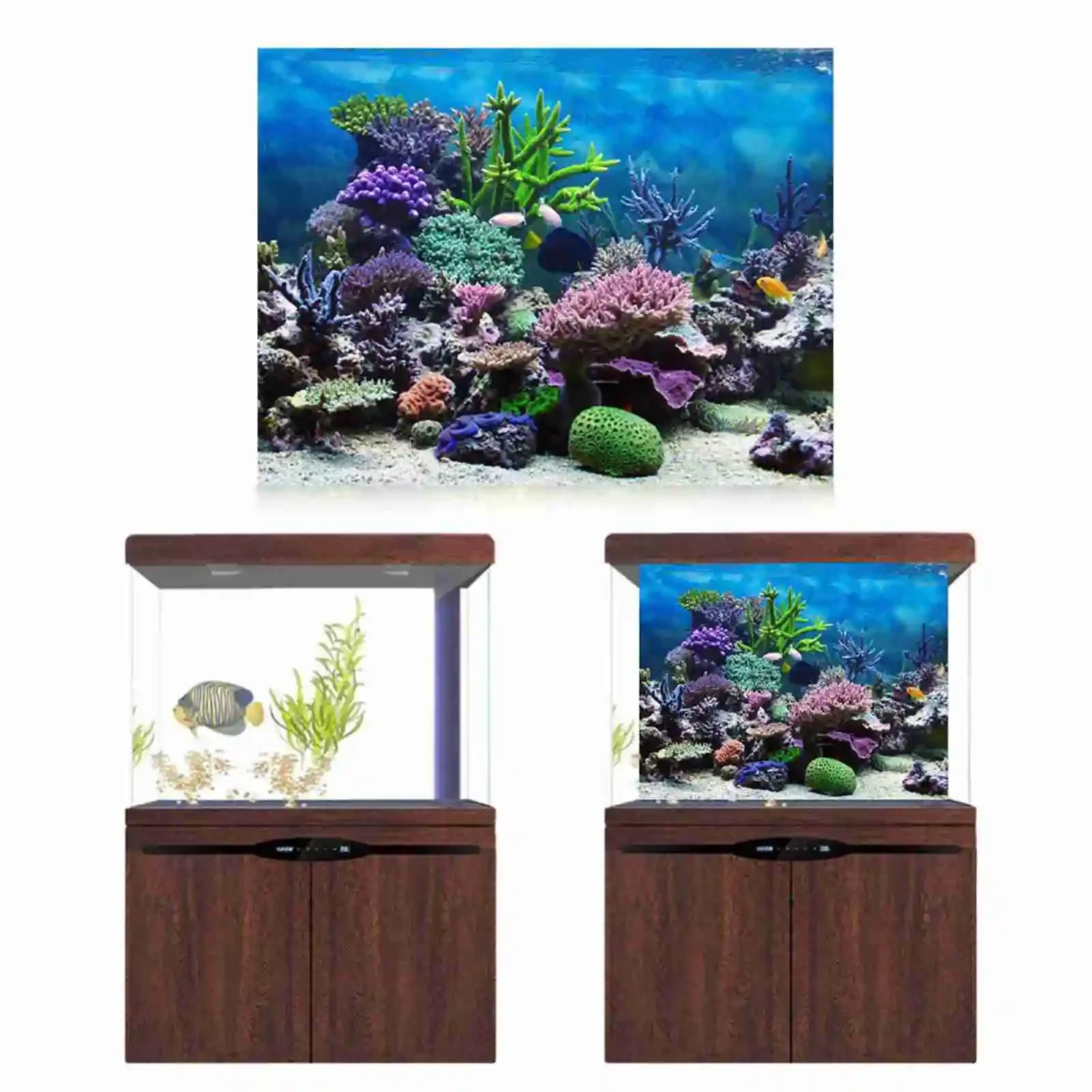 3D Aquarium Landscape Poster R - đánh giá và giá Marine Aquarium Glue