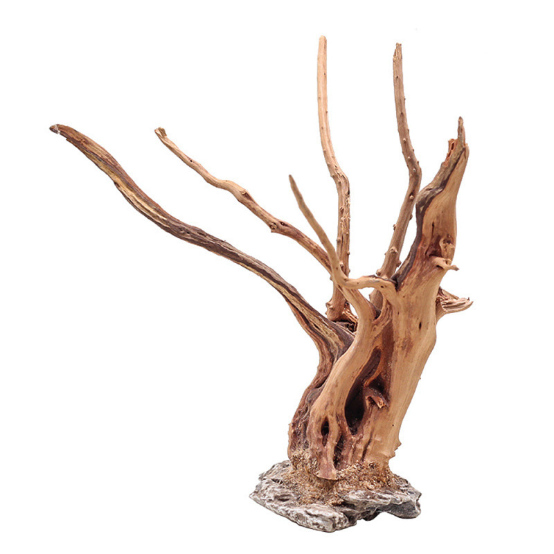 1 Bể Cá Cảnh Quan Gỗ Đồ Trang  - đánh giá và giá Marine Aquarium For Sale