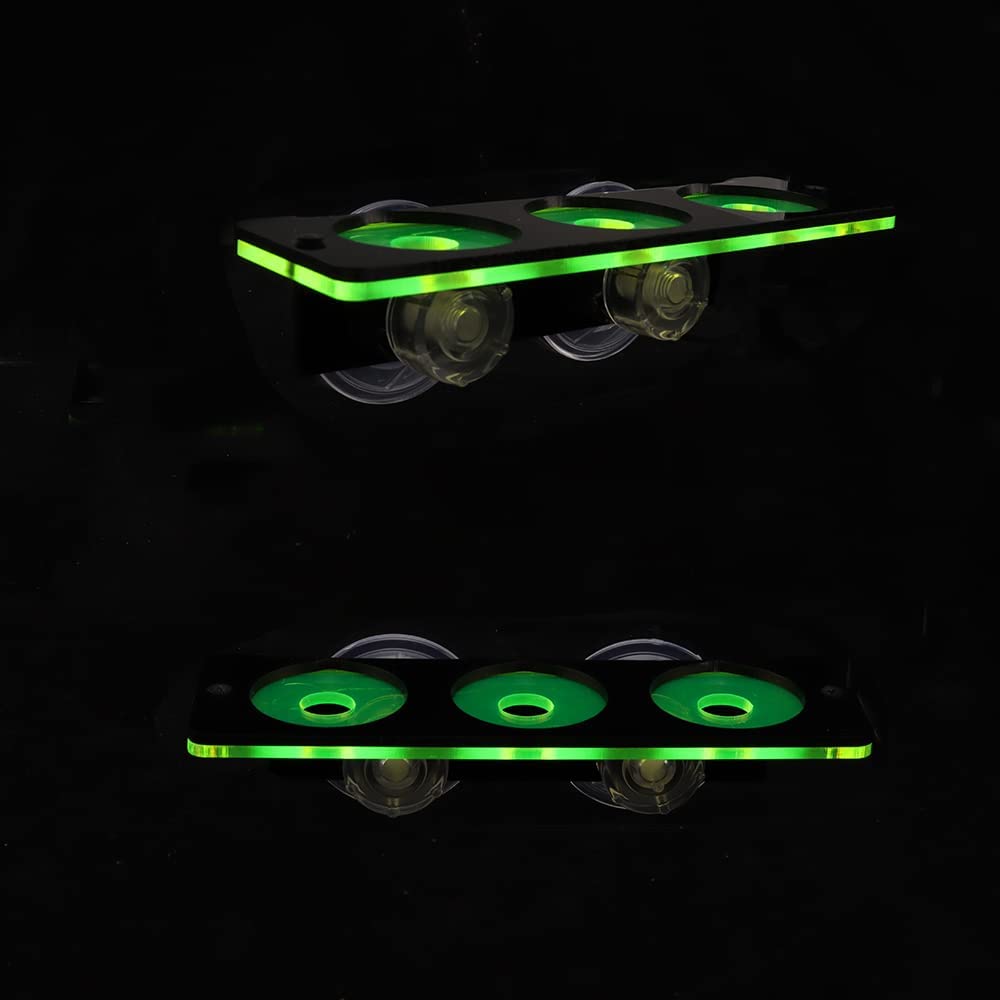 Cá Huỳnh Quang San Hô Frag-he  - đánh giá và giá Aquarium Innovative Marine