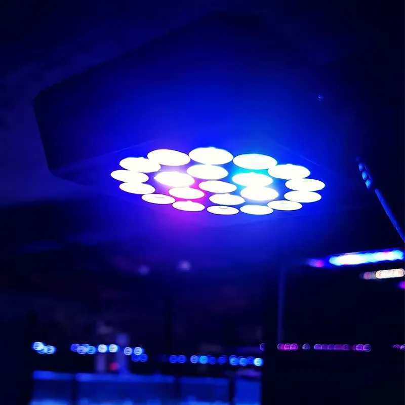 Novatech Global THOR 60W Smart - đánh giá và giá Aquarium Marine Lights