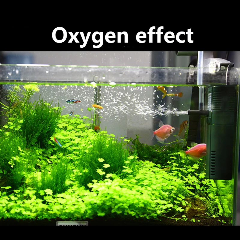 SUNSUN Nano Mini Xây Dựng Nội  - đánh giá và giá Marine Aquarium Uv Sterilizer